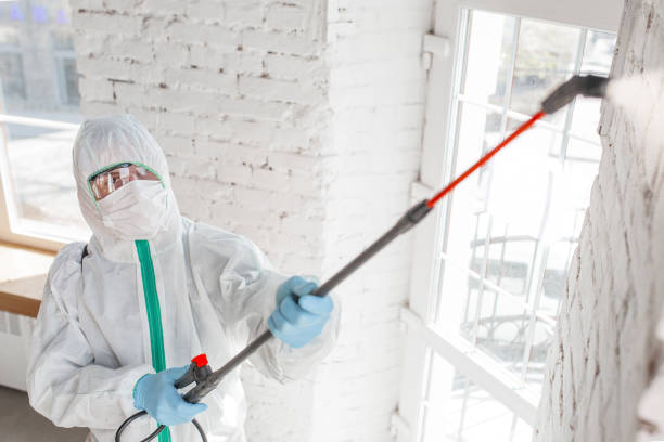 Best Post-Remediation Verification Testing  in , WY