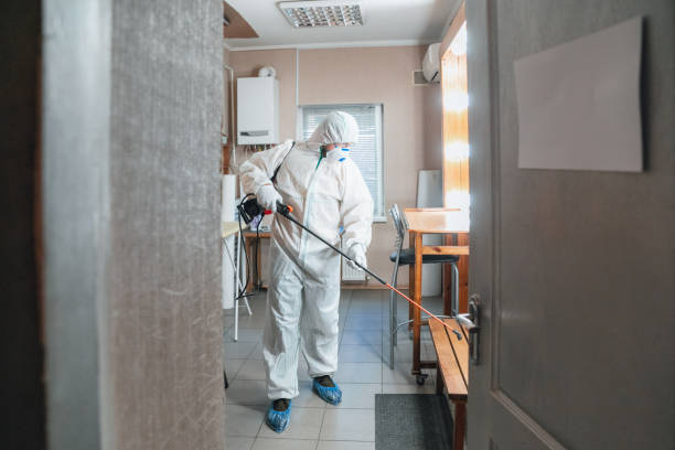 Best Asbestos and Lead Testing During Mold Inspection  in , WY