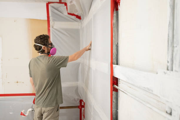 Best Mold Documentation for Insurance Claims  in , WY