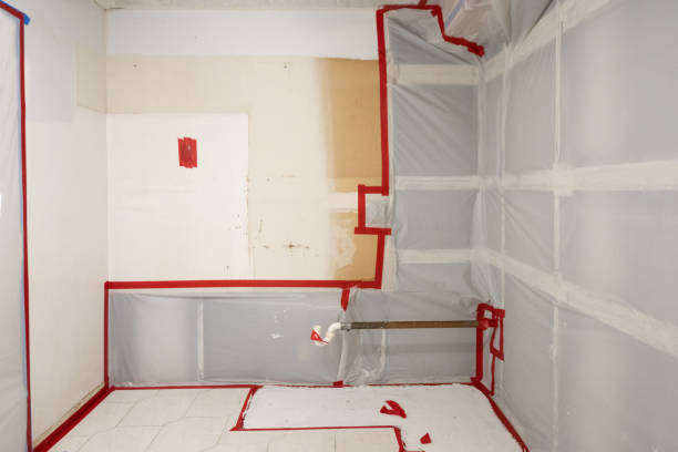 Best Mold Odor Removal Services  in , WY