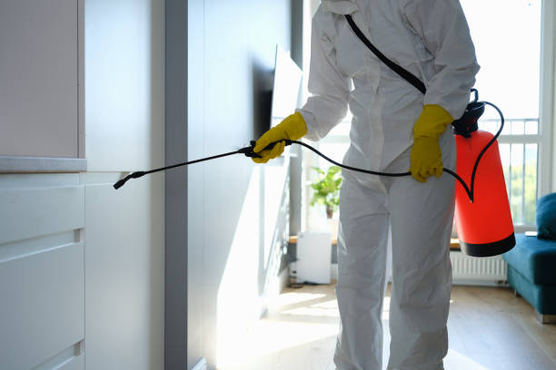 Best Emergency Mold Remediation  in , WY