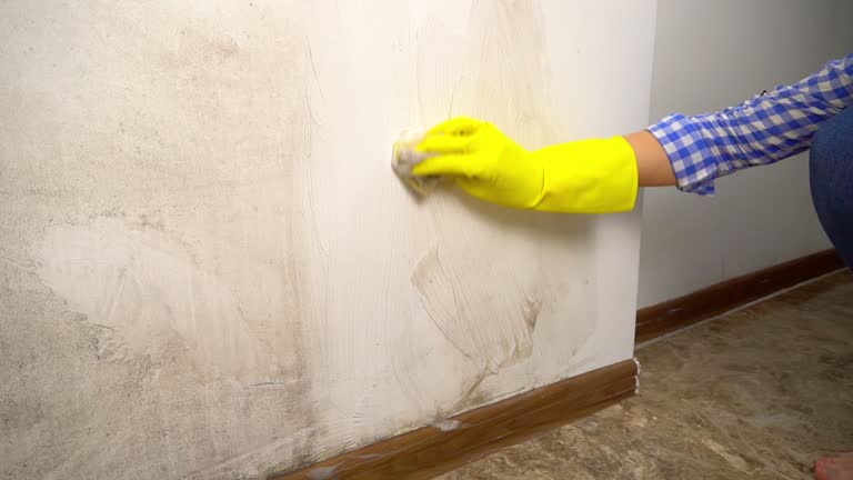 Best Crawl Space Mold Remediation  in , WY