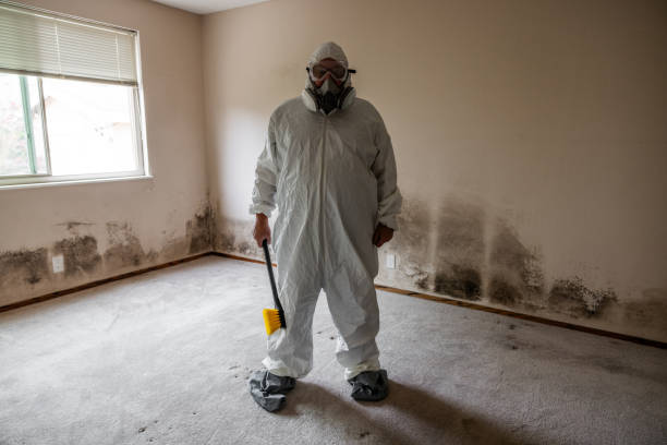 Best Industrial Mold Remediation  in , WY